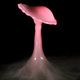 Image for article titled Shooting Challenge: Water Drop Gallery Part 3